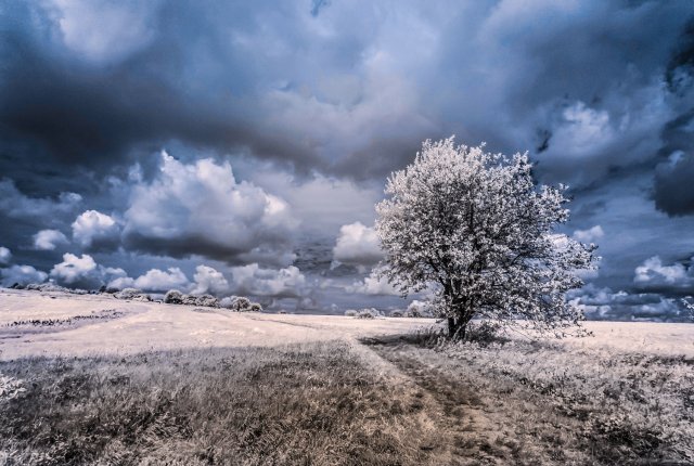 Photography – Wilfried H. Meyer