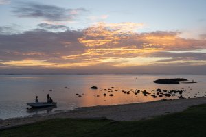 WM IR Mauritius 2026 _3 von 10_.jpg