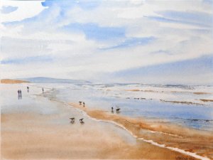 Californian seashore / V