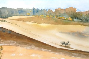 Odenw herbst Kopie (Medium).jpg