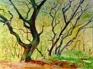 Baum GrossUmst Kopie (Large).jpg