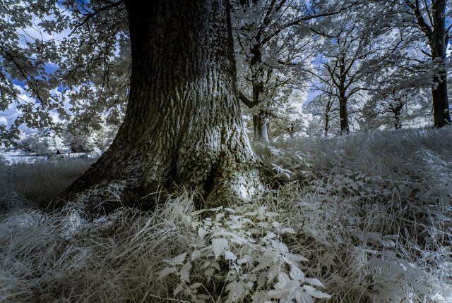 Photography – Wilfried H. Meyer