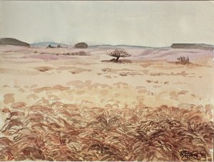 Hochrhön