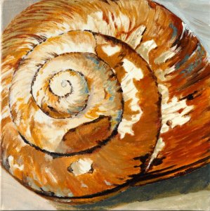 Schnecke 1 (Large).jpg
