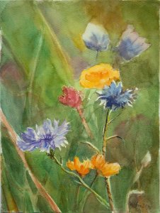 Blumenwiese c.jpg